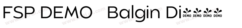 FSP DEMO   Balgin Di字体转换